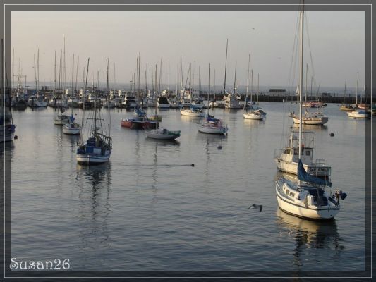 Abendstimmung in Monterey
