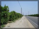 comp_DSC05244.jpg