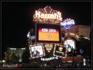 comp_IMG_1019.jpg