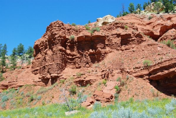2009-07-09-12-34-04_.JPG