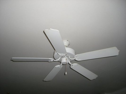 CIMG3829.JPG