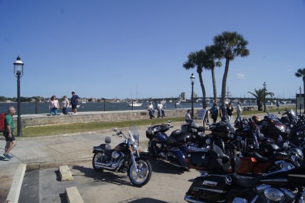 _DSC6589_(800x532).jpg