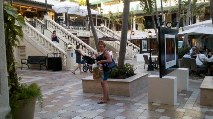 shopping_(800x449)~0.jpg