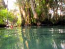 IMG_0115_(800x600).jpg