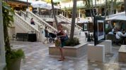 shopping_(800x449).jpg