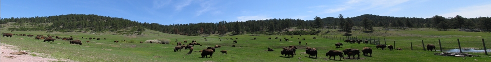 Custer_SP_02_Wide_Kopie.jpg