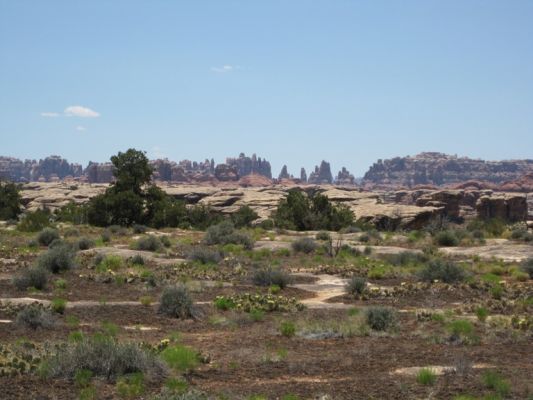 IMG_1414.JPG