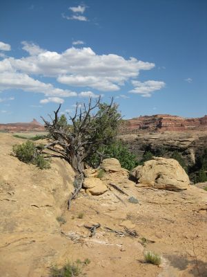IMG_1559.JPG