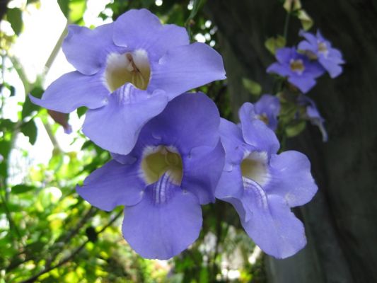 IMG_2413.JPG