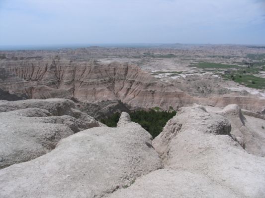 IMG_4377.JPG