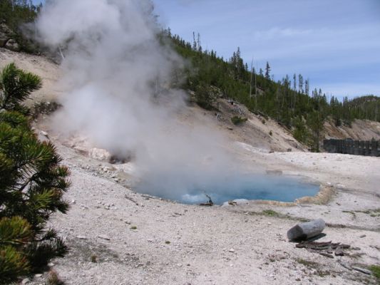 IMG_4647.JPG