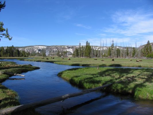 IMG_4827.JPG