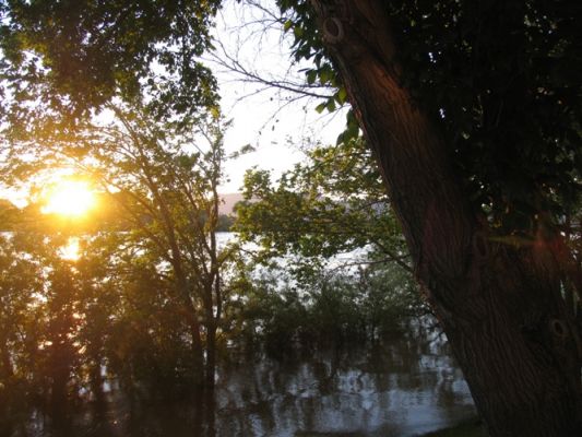 IMG_5580.JPG