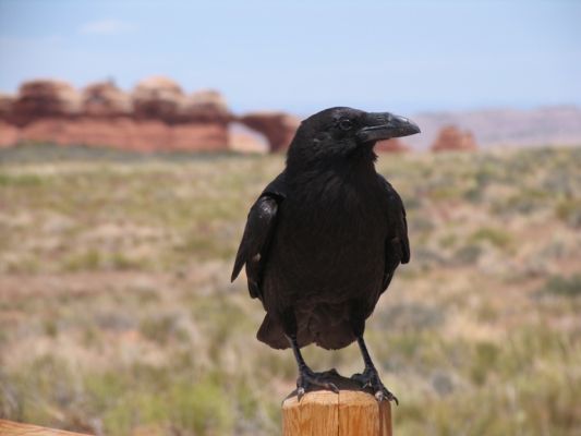 IMG_6326.JPG