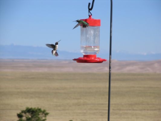 IMG_6658.JPG