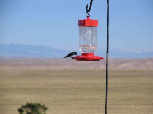 IMG_6659.JPG