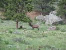 IMG_6917.JPG