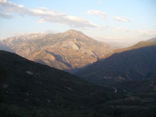 943.JPG