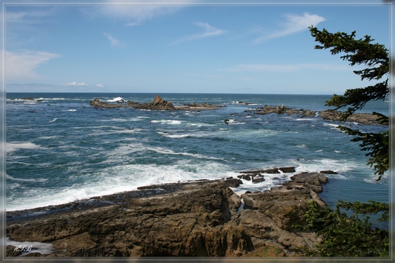 Cape Arago State Park, OR
