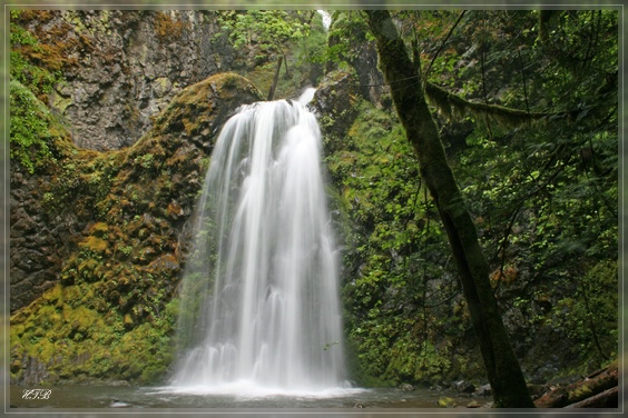 Fall Creek Falls, OR
