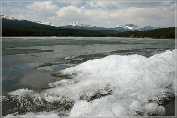 comp_123_Maligne_Lake_Mary_Schaeffer_Loop_(24).jpg