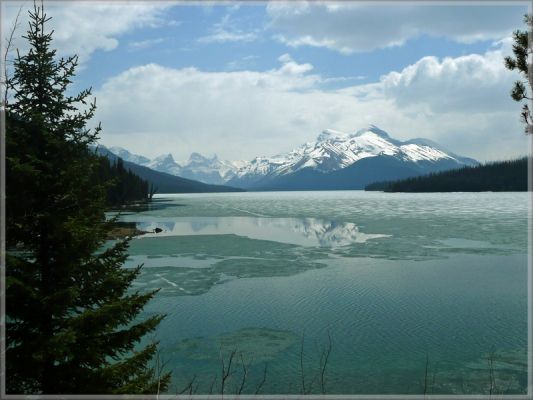 comp_127_Maligne_Lake_Mary_Schaeffer_Loop_(34).jpg