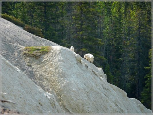 comp_154_Mount_Kerkeslin_(2).jpg