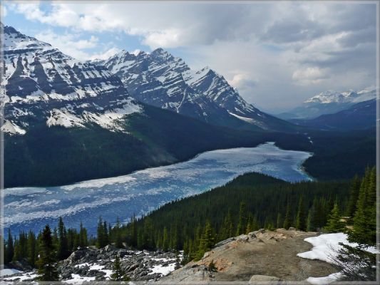 comp_187_Peyto_Lake_(2).jpg