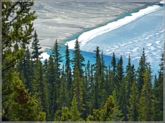 comp_188_Peyto_Lake_(3).jpg