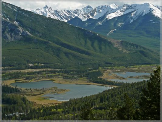 comp_265_Mount_Norquay_(4).jpg