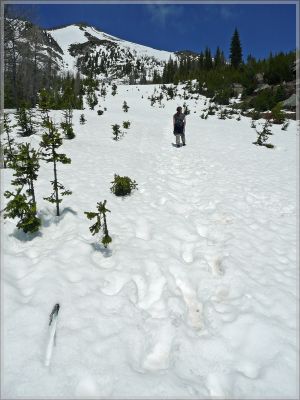 comp_272_Lake_Louise_Lake_Agnes_Trail_(12).jpg
