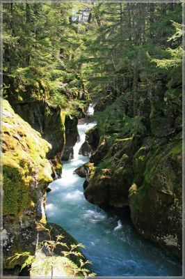 comp_348_Glacier_Trail_of_the_Cedars_(1).jpg