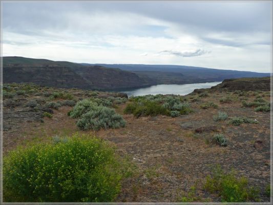 comp_369_Wild_Horses_Monument_(4).jpg