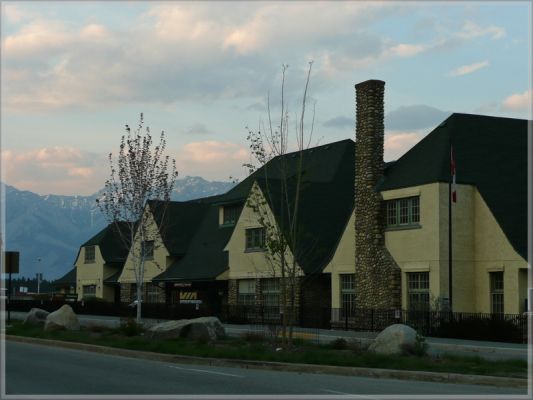comp_99_Jasper_(4).jpg