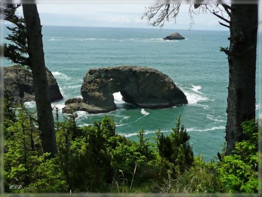 Arch Rock, Samuel Boardman SP, OR
