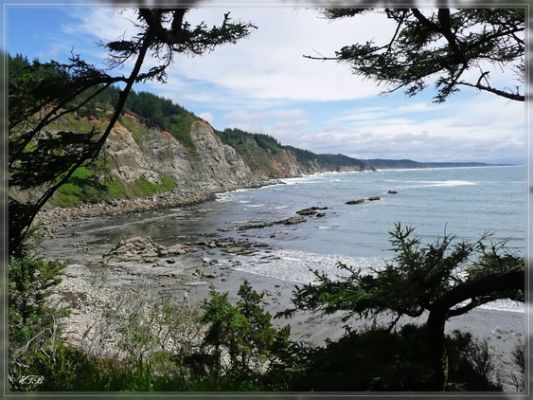 Cape Arago State Park, OR
