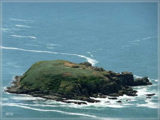 Cape Sebastian State Park, OR

