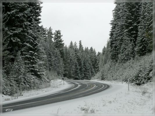 Highway 138, OR
