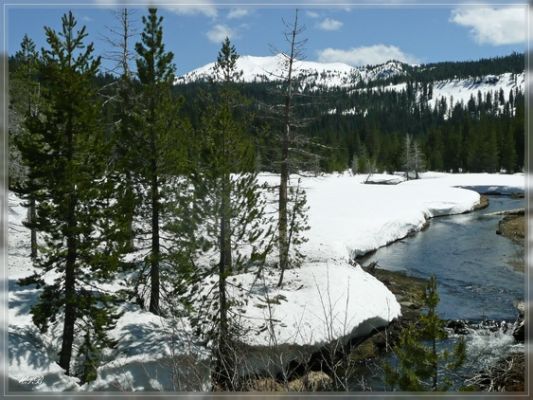 Devastated Area / Lassen Volcanic NP
