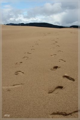 Umpqua Dunes / Oregon Dunes NRA
