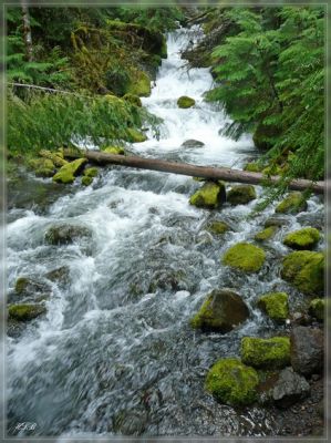Watson Falls, OR
