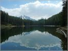 comp_114_Moose_Lake_Jasper_NP_(12).jpg