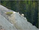 comp_154_Mount_Kerkeslin_(2).jpg