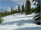 comp_189_Peyto_Lake_(19).jpg