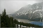 comp_253_Peyto_Lake_2_(21).jpg