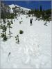 comp_272_Lake_Louise_Lake_Agnes_Trail_(12).jpg