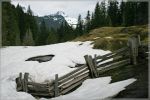 comp_380_Rainier_NP_Box_Canyon_(2).jpg