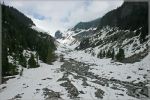 comp_390_Rainier_NP_Niqually_Glacier_(1).jpg