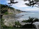 Cape Arago State Park, OR