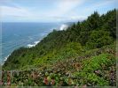 Cape Sebastian State Park, OR